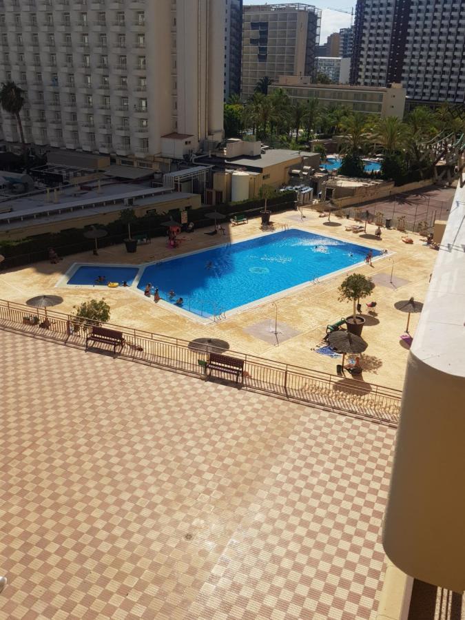 Acuarium 3-Fincas Benidorm Dış mekan fotoğraf