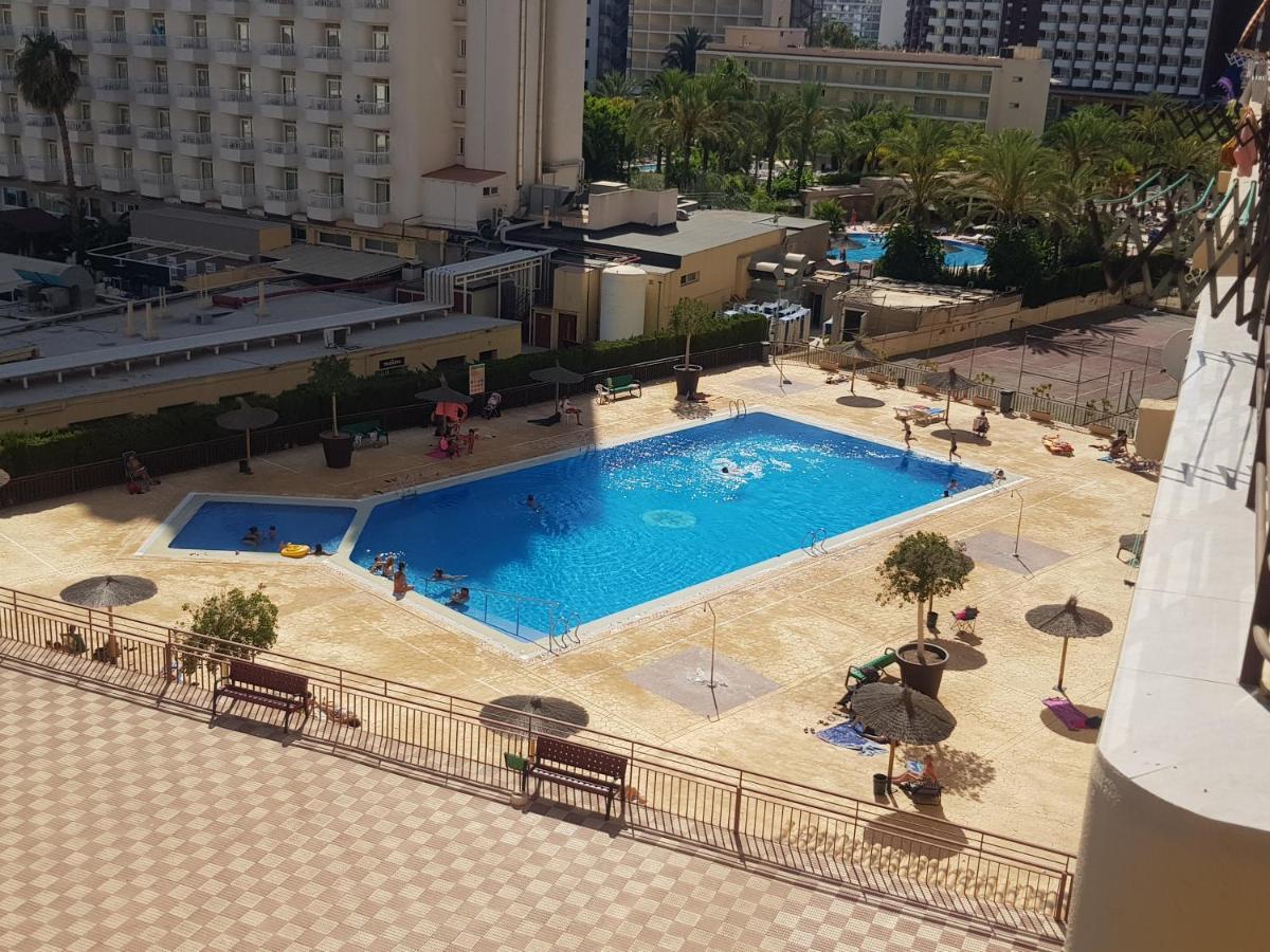 Acuarium 3-Fincas Benidorm Dış mekan fotoğraf
